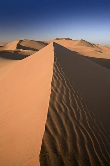 Images Dated 2006 March: 