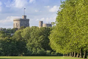 Windsor Prints: United Kingdom, England, London, Windsor, early summer view of the Round Tower at Windsor