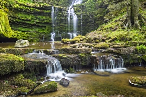 United Kingdom, England, North Yorkshire, Settle, Scaleber Force at Springtime