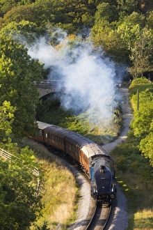 United Kingdom, England, North Yorkshire, Goathland. One of the six remaining Class A4 Locomotives