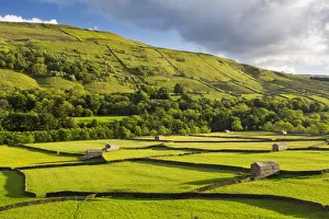 United Kingdom, England, North Yorkshire, Gunnerside. Traditional barns in Swaledale