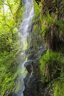 United Kingdom, England, North Yorkshire, Goathland