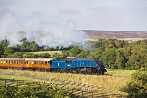 United Kingdom, England, North Yorkshire, Goathland