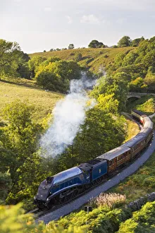 United Kingdom, England, North Yorkshire, Goathland