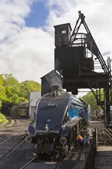 United Kingdom, England, North Yorkshire, Grosmont