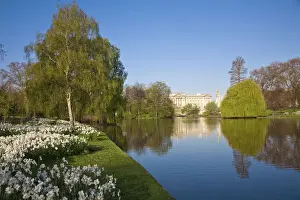 United Kingdom, London, View of Buckingham Palace from Green Park