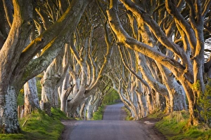 United Kingdom, Northern Ireland, County Antrim, Stranocum