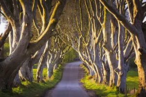 United Kingdom, Northern Ireland, County Antrim, Stranocum
