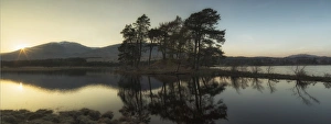 United Kingdom, UK, Scotland, Highlands, Two scots pines at sunset at Loch Tulla