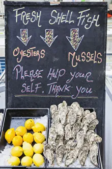 United Kingdon, Channel Islands, Jersey, St. Helier, Fish Market, Seafood Display