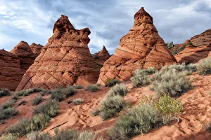Formation Prints: United States of America, Arizona, South Coyote Buttes, Paw Hole