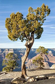 United States of America, Arizona, Grand Canyon, South Rim