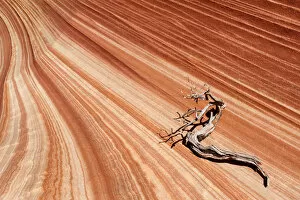 Images Dated 2nd October 2012: United States of America, Arizona, North Coyote Buttes