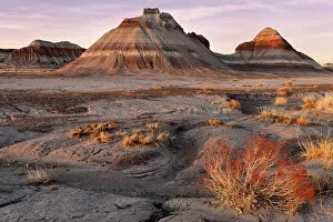 Images Dated 16th January 2014: United States of America, Arizona, Petrified Forest National Park