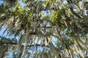 United States, Louisiana, St. Charles Parish