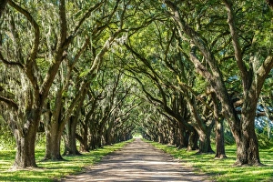 Images Dated 30th September 2016: United States, Louisiana, St. John the Baptist Parish