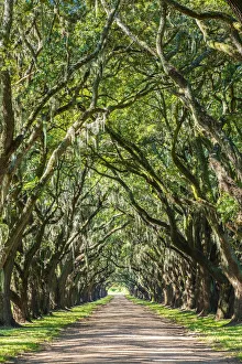 United States, Louisiana, St. John the Baptist Parish