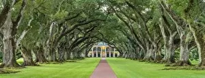 Images Dated 30th September 2016: United States, Louisiana, Vacherie. Historic Oak Alley Plantation