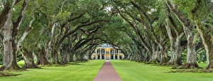 Images Dated 30th September 2016: United States, Louisiana, Vacherie. Historic Oak Alley Plantation