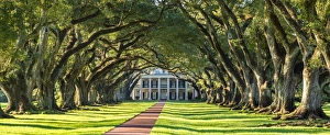 Images Dated 30th September 2016: United States, Louisiana, Vacherie. Historic Oak Alley Plantation