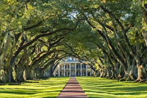Images Dated 30th September 2016: United States, Louisiana, Vacherie. Historic Oak Alley Plantation