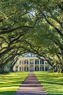 Images Dated 16th May 2017: United States, Louisiana, Vacherie. Historic Oak Alley Plantation
