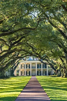 Images Dated 16th May 2017: United States, Louisiana, Vacherie. Historic Oak Alley Plantation