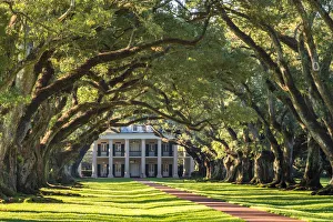United States, Louisiana, Vacherie. Historic Oak Alley Plantation
