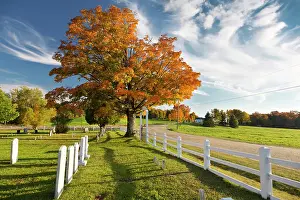 Cabot Prints: United States, New England, Vermont, a cemetery near Cabot