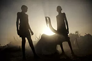 Images Dated 8th May 2013: Unity State, South Sudan. A cattle camp at dawn near Leer