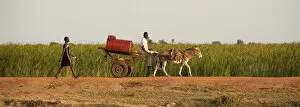 Equator Collection: Unity State, South Sudan. Transporting goods in Leer