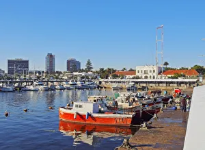 Uruguay, Maldonado Department, Punta del Este, View of the harbour Uruguay, Maldonado Department, Punta del Este, View of the harbour