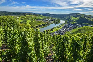 Images Dated 27th November 2018: Urzig with the new Mosel bridge, Mosel valley, Rhineland-Palatinate, Germany