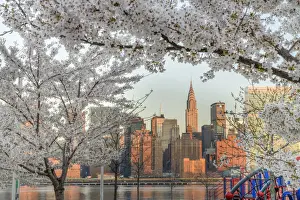Bloom Prints: USA, American, New York, Chrysler Building and Midtoen Skyline from Long Island City
