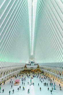 Images Dated 17th August 2022: USA, American, New York, Manhattan, Lower Manhattan, One World Trade Center, PATH Station (Oculus)