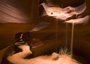 Images Dated 25th November 2008: USA, Arizona
