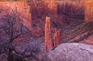 Images Dated 6th November 2008: USA, Arizona, Canyon de Chelly National Monument