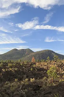 Flagstaff Prints: USA, Arizona, Flagstaff, Sunset Crater National Monument, Cinder Cones and Volcanic