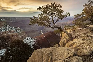 Images Dated 22nd March 2017: USA, Arizona, Grand Canyon, National Park, UNESCO, World Heritage