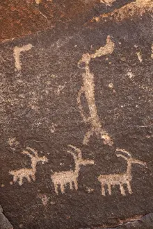USA, Arizona, Holbrook, Petrified Forest National Park, Ancient Petroglyphs