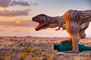 Images Dated 4th April 2012: USA, Arizona, Holbrook, Route 66, Dinosaur