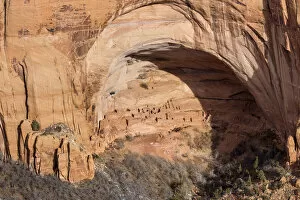 USA, Arizona, Navajo National Monument, Betatakin Ruins