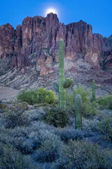 USA, Arizona, Southwest, Maricopa County, Apache Junction, Lost Dutchman State Park USA, Arizona, Southwest, Maricopa County, Apache Junction, Lost Dutchman State Park