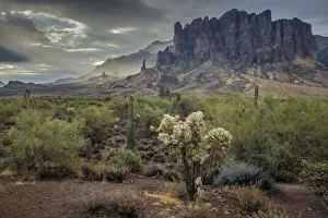 USA, Arizona, Southwest, Maricopa County, Apache Junction, Lost Dutchman State Park