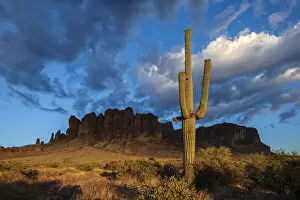 Images Dated 25th May 2021: USA, Arizona, Southwest, Maricopa County, Apache Junction, Lost Dutchman State Park