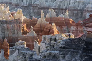 Photographer Prints: USA, Arizona, Tuba City, Coal Mine Canyon, Navajo Rez