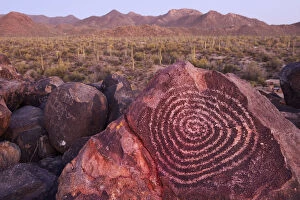 Rock Art Gallery: USA, Arizona, Tucson, Sonoran desert, Saguaro National Park, Ancient Petroglyph at dusk