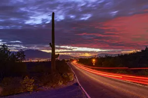 Tucson Prints: USA; Arizona, Tucson, sunrise with cactus