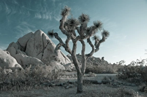 USA, California