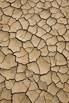USA, California, Bombay Beach, Salton Sea area, dried lake bed